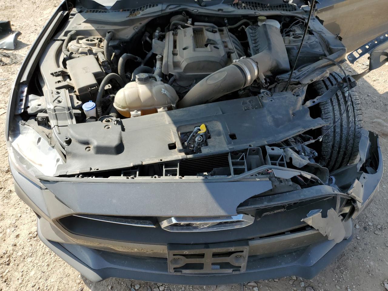 2020 Ford Mustang VIN 1FA6P8TH0L5171317 Copart auction photo, front end / minor dent/scratches damage thumbnail 11