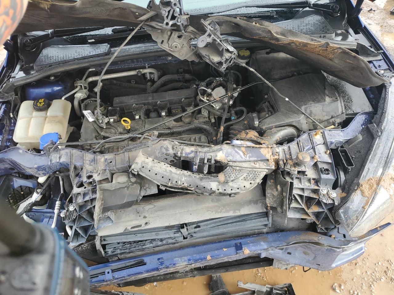 2016 Ford Focus VIN 1FADP3K28GL325782 Copart auction photo, front end / minor dent/scratches damage thumbnail 11