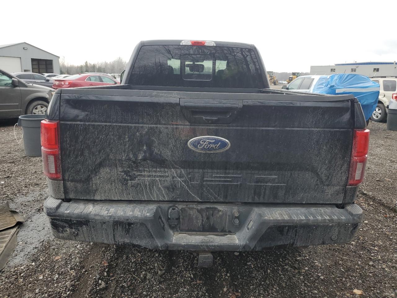 2019 Ford F-150 VIN 1FTFW1E55KFC49932 Copart auction photo, side / rear end damage thumbnail 6