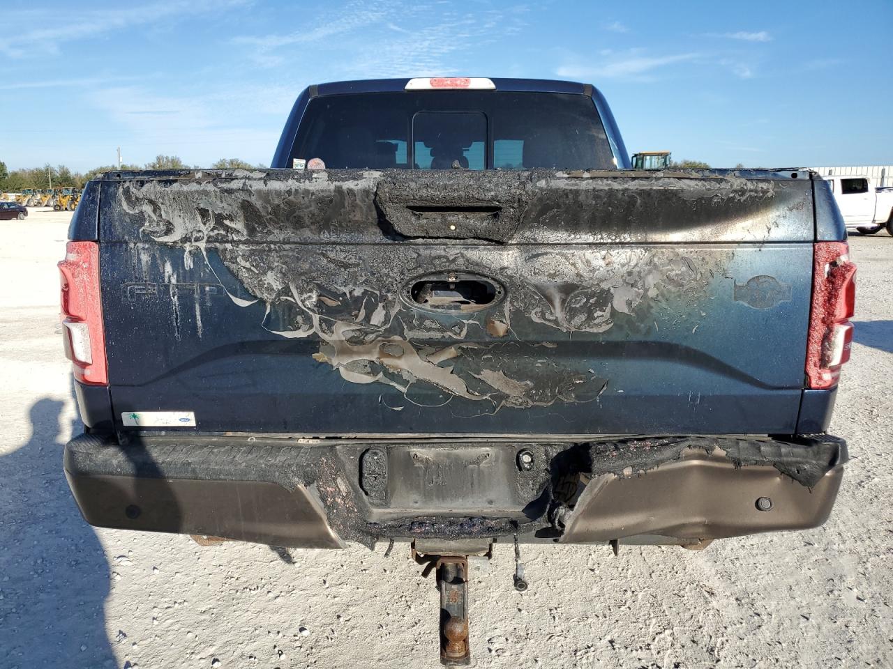 2016 Ford F-150 VIN 1FTEW1EG0GFC55979 Copart auction photo, burn damage thumbnail 6