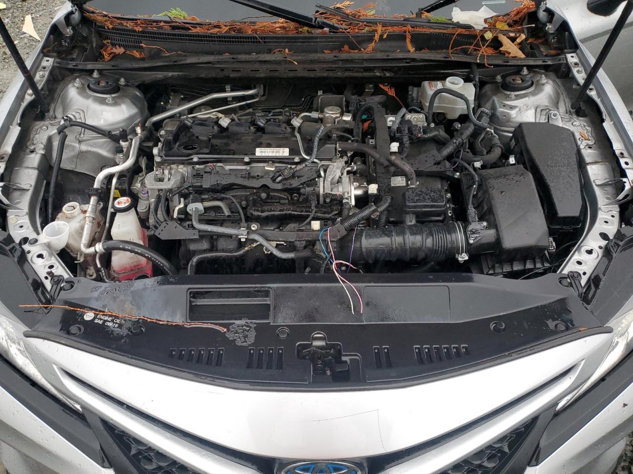 2019 Toyota Camry VIN 4T1B21HK8KU514202 Copart auction photo, all over / vandalism damage thumbnail 13