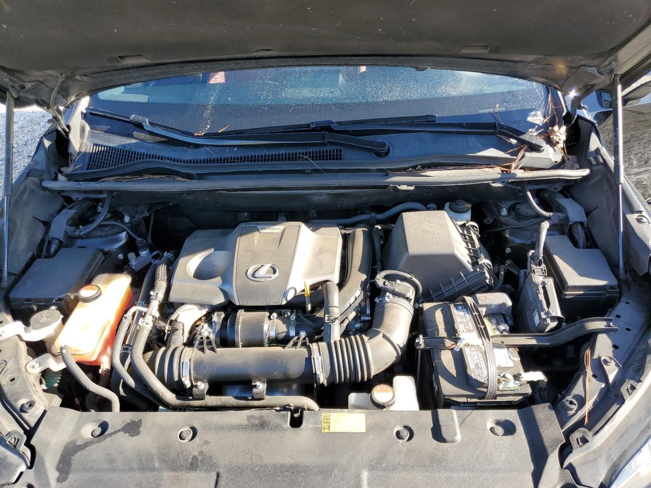 2015 Lexus NX VIN JTJYARBZ8F2010866 Copart auction photo, side damage thumbnail 12