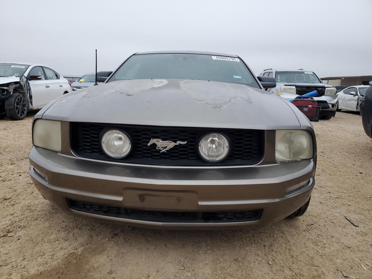 2005 Ford Mustang VIN 1ZVFT80N255124435 Copart auction photo, minor dent/scratches damage thumbnail 5