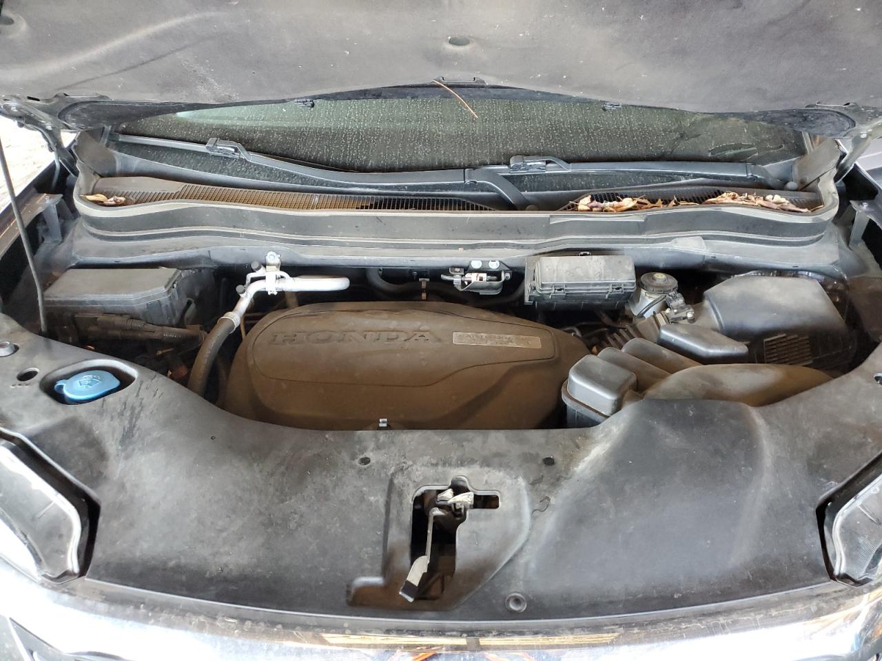2018 Honda Pilot VIN 5FNYF5H51JB004981 Copart auction photo, rear end damage thumbnail 12