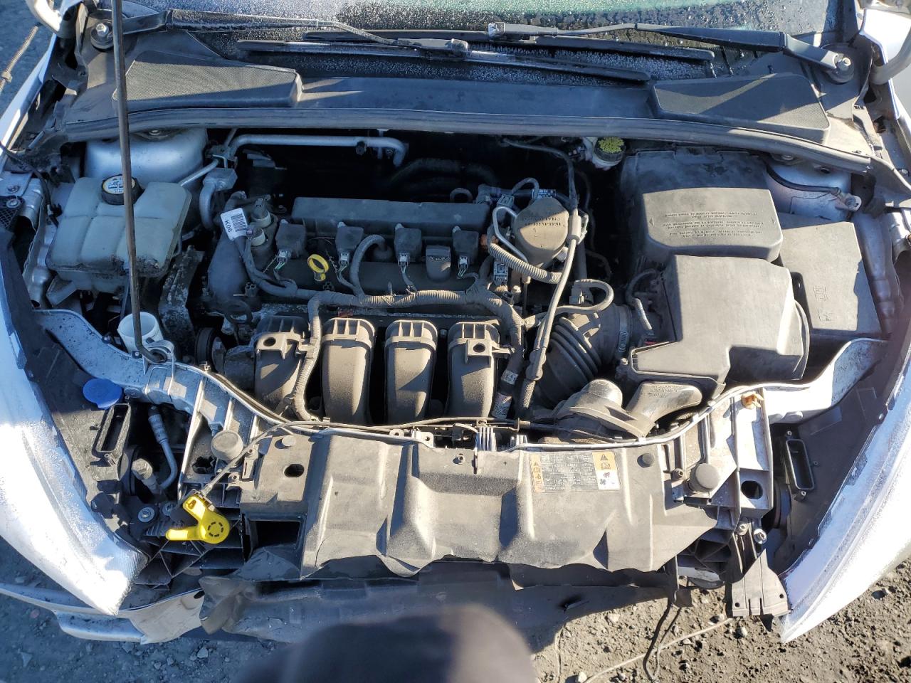 2016 Ford Focus VIN 1FADP3F2XGL255289 Copart auction photo, front end / side damage thumbnail 11