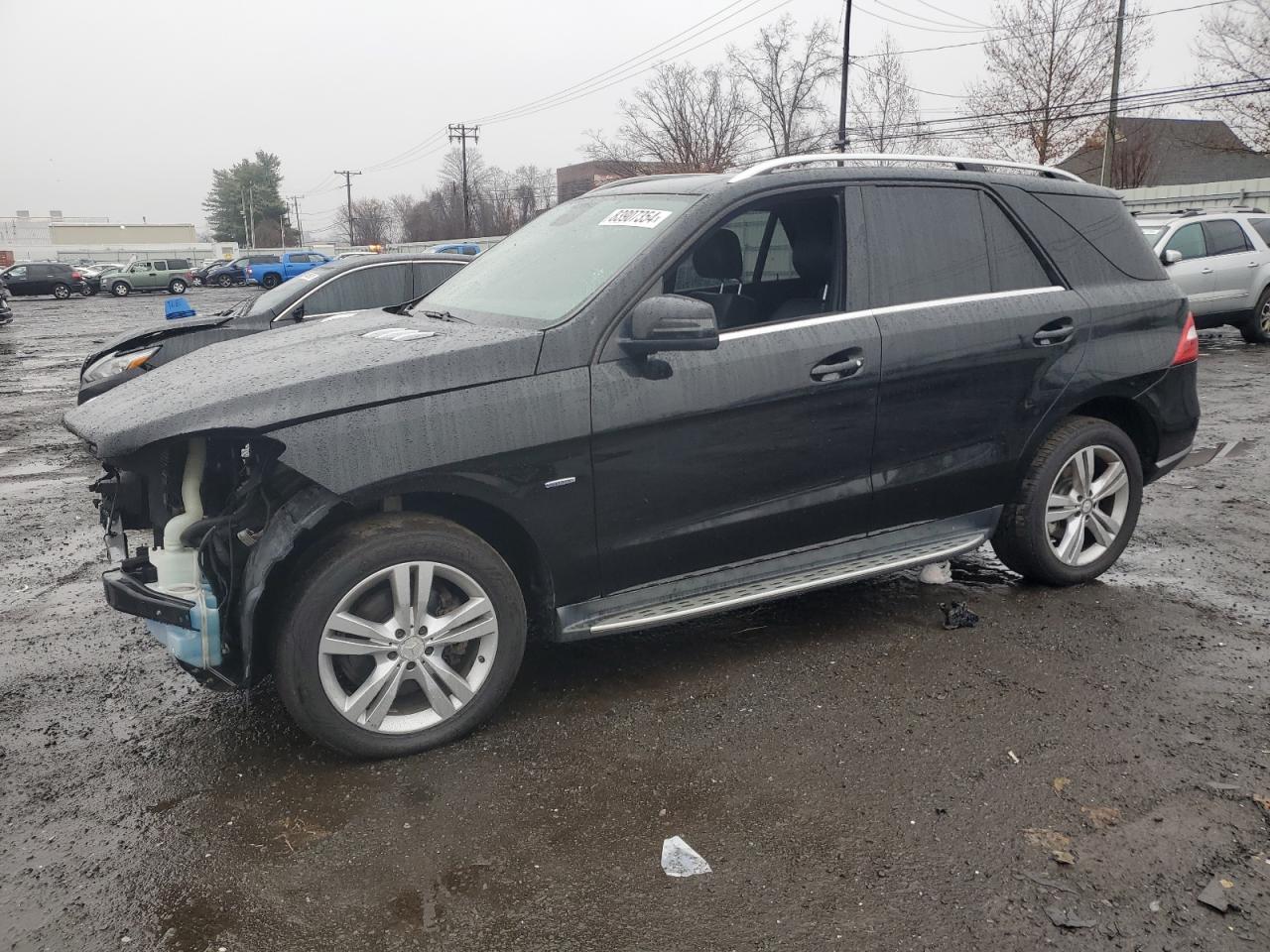 2012 Mercedes-Benz M-klasse VIN 4JGDA5HB7CA055802 - Copart auction photo