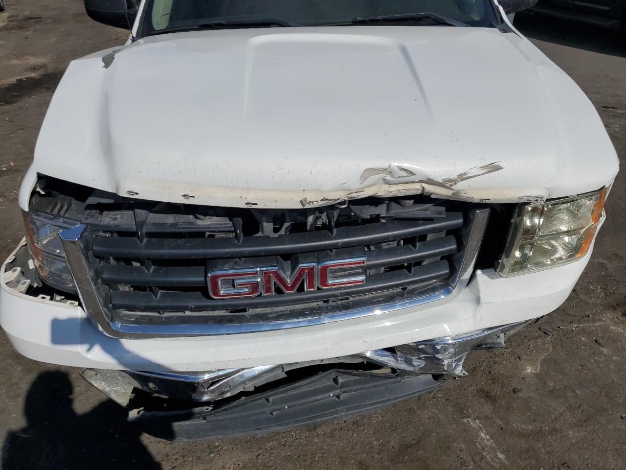 2010 GMC Sierra VIN 1GTSCVE0XAZ298916 Copart auction photo, front end / side damage thumbnail 11