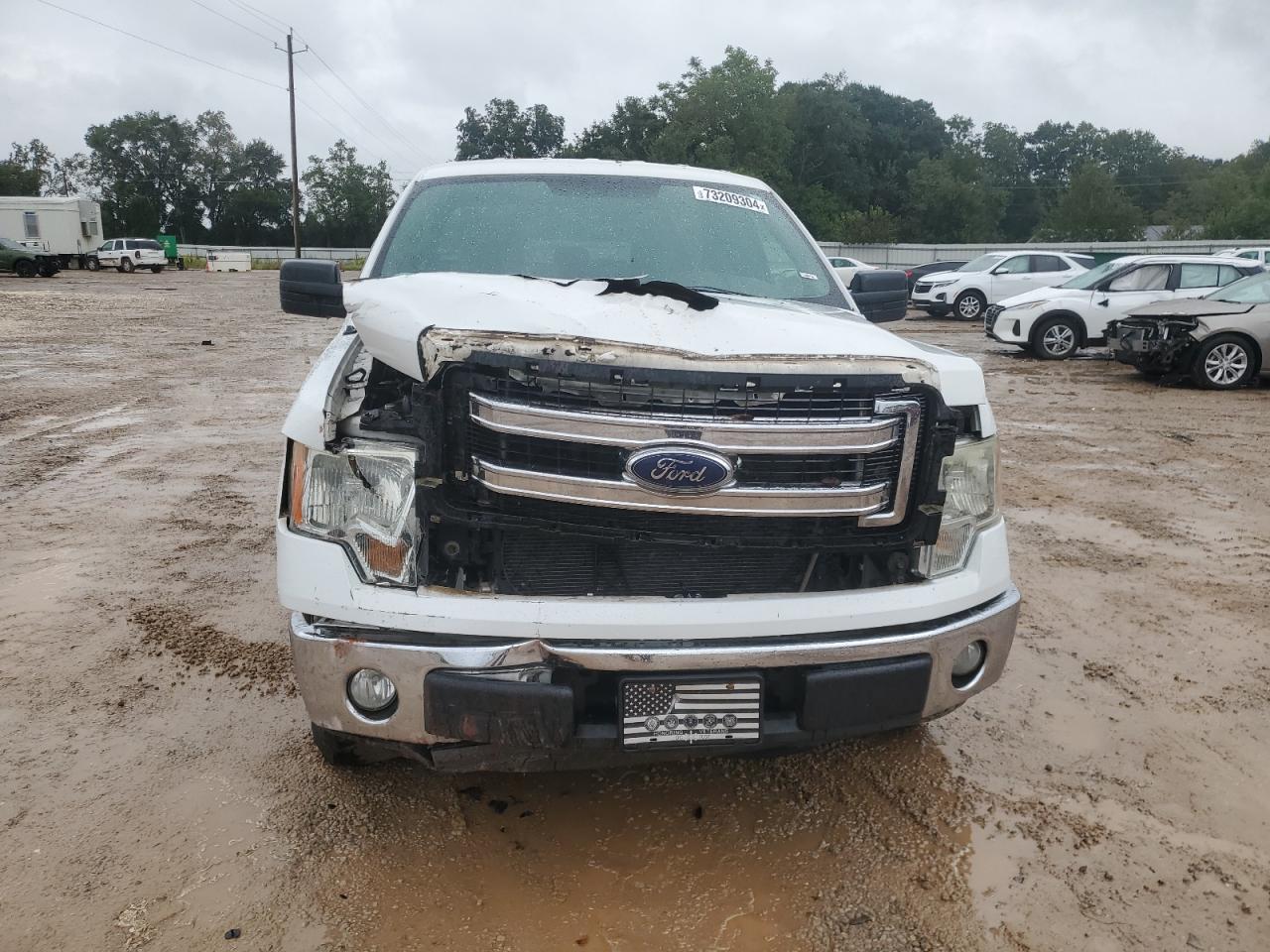 2013 Ford F-150 VIN 1FTEX1CM0DKF99899 Copart auction photo, front end / minor dent/scratches damage thumbnail 5