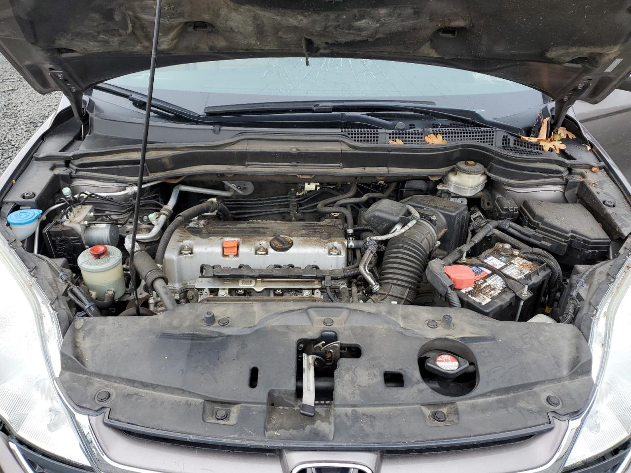 2010 Honda CR-V VIN 5J6RE4H73AL044294 Copart auction photo, front end / side damage thumbnail 14