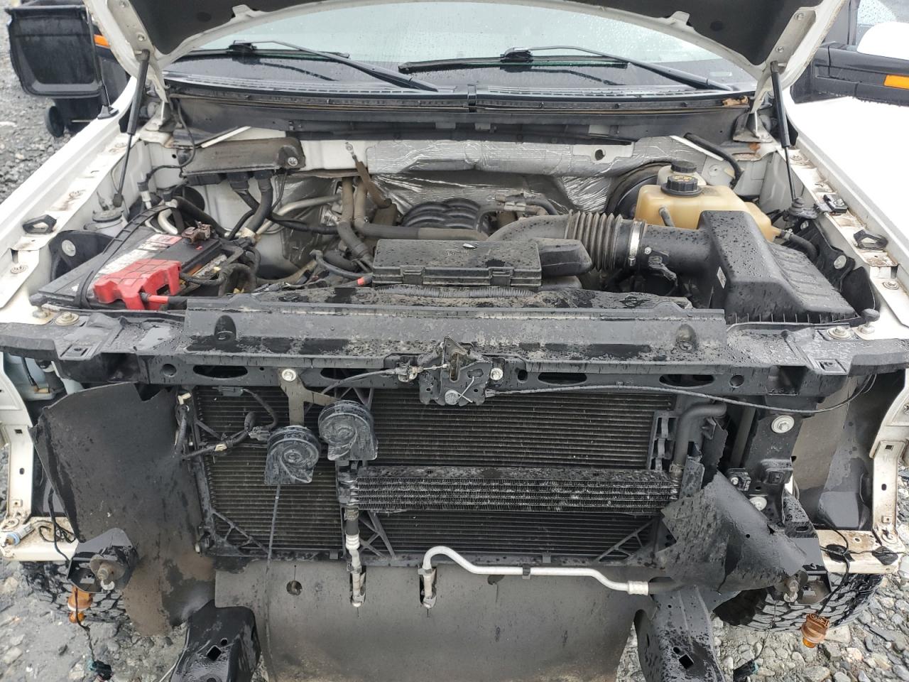 2012 Ford F-150 VIN 1FTFW1CF3CFC67617 Copart auction photo, front end damage thumbnail 11