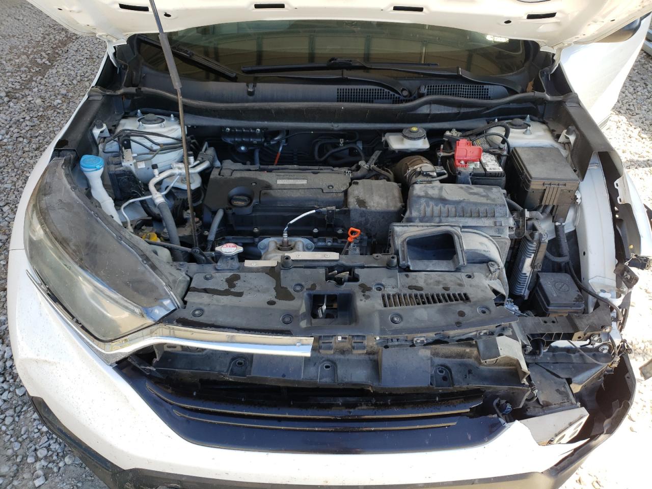 2019 Honda CR-V VIN 2HKRW5H35KH402037 Copart auction photo, front end damage thumbnail 12