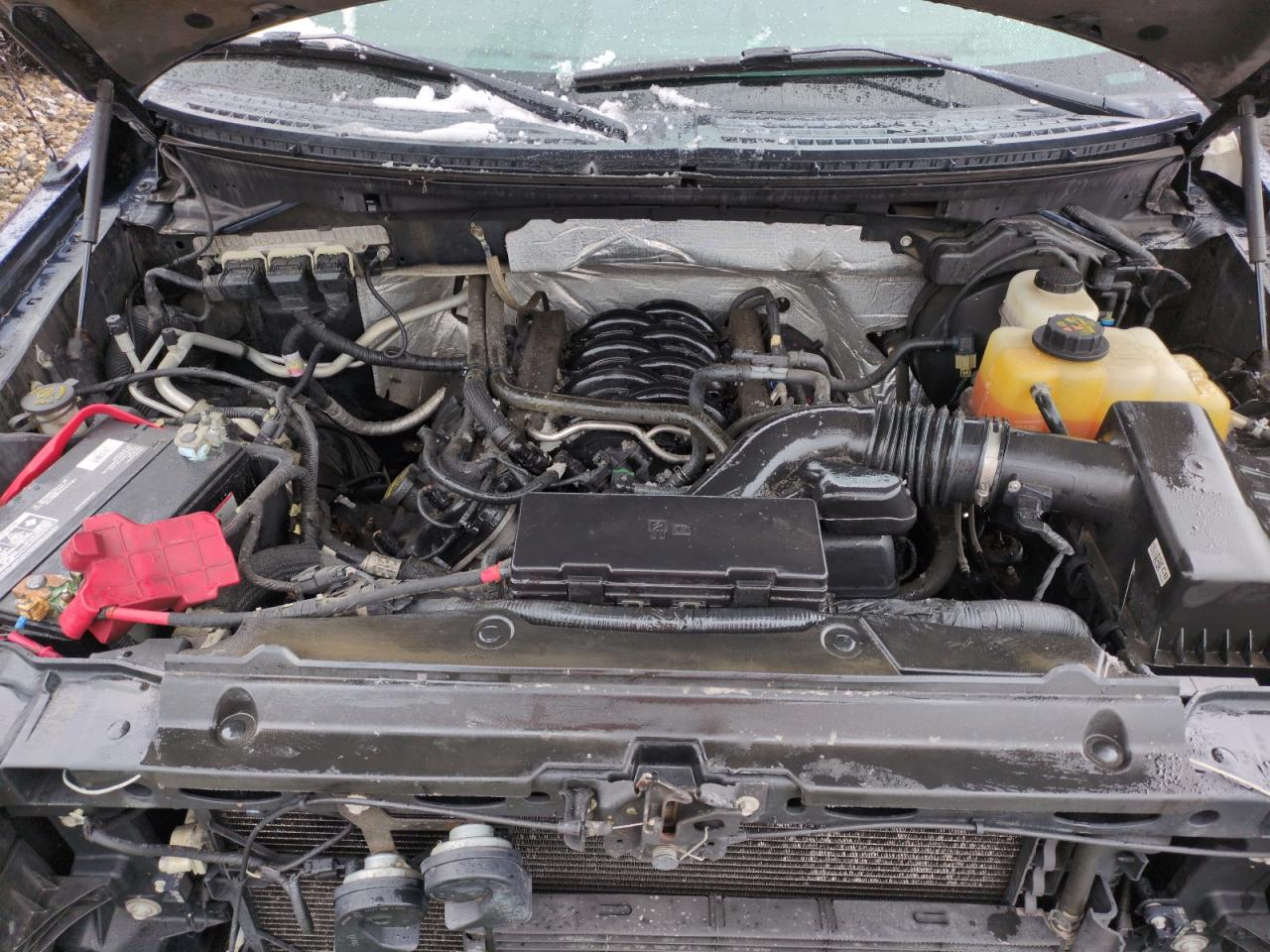 2013 Ford F-150 VIN 1FTFW1EF7DKF36966 Copart auction photo, side damage thumbnail 11