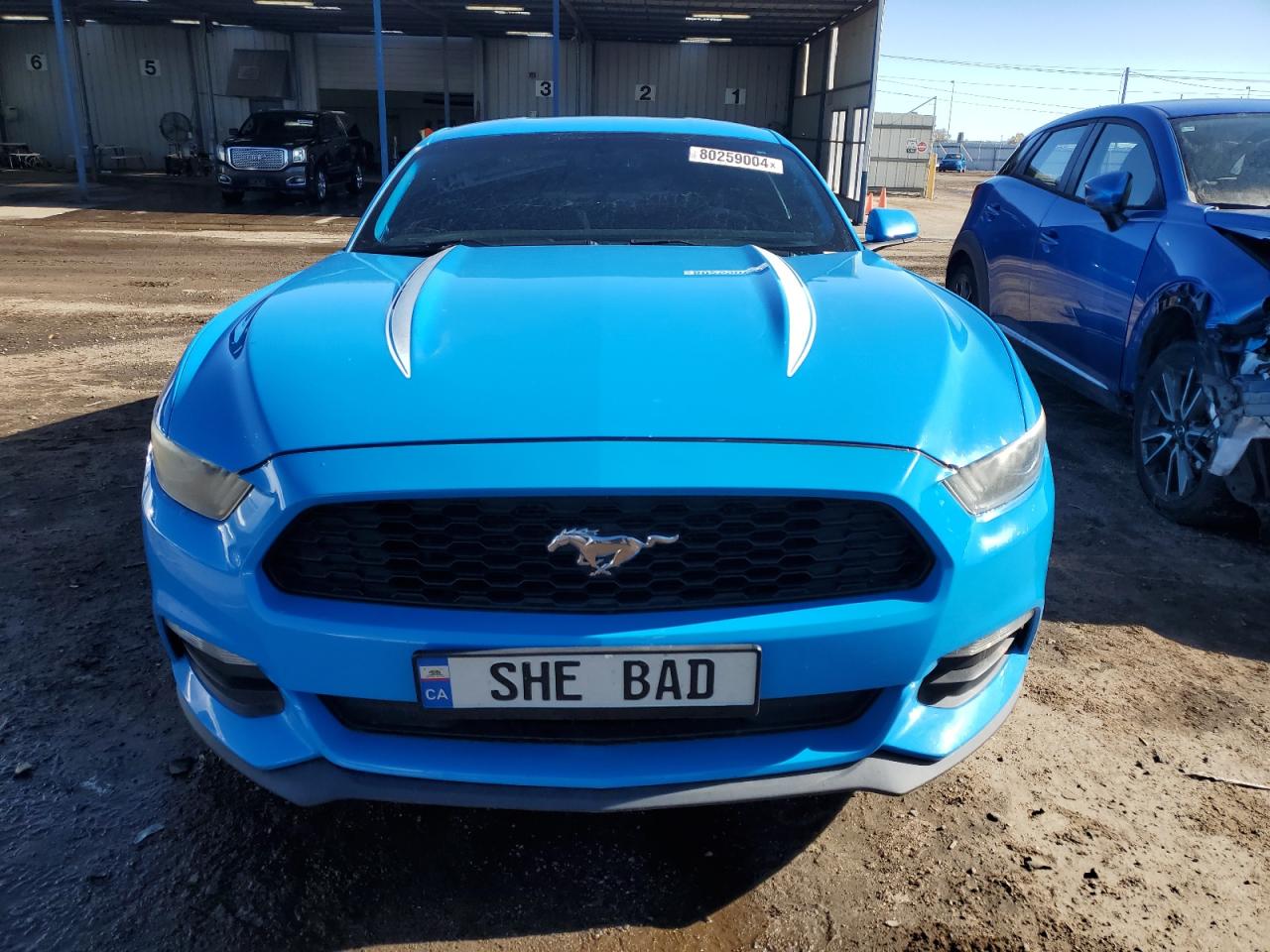 2017 Ford Mustang VIN 1FA6P8AM3H5202289 Copart auction photo, rear end damage thumbnail 5