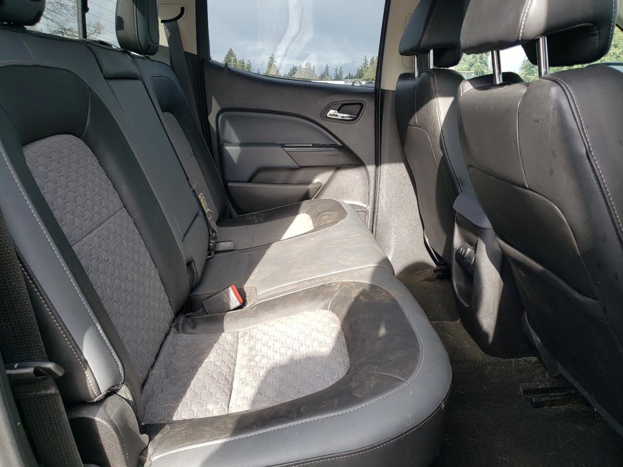 2016 Chevrolet Colorado VIN 1GCGTDE37G1165841 Copart auction photo, rear end damage thumbnail 10