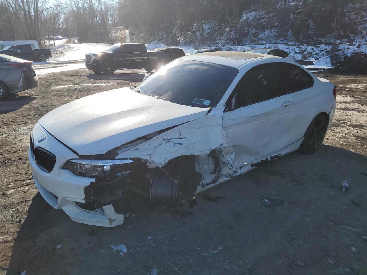 2020 BMW 2er VIN WBA2J3C03L7E78623 - Copart auction photo