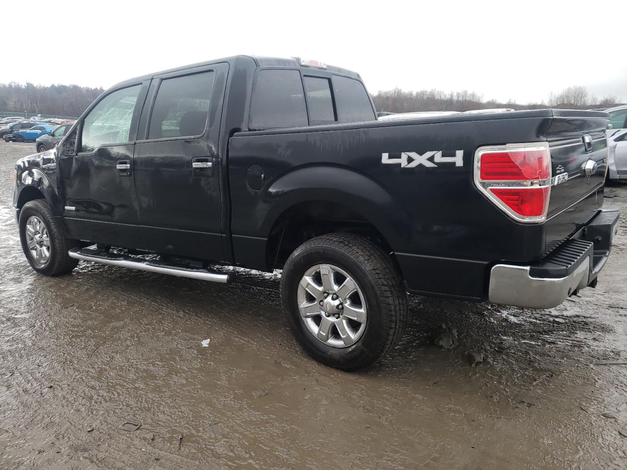 2013 Ford F-150 VIN 1FTFW1ET9DFA00745 Copart auction photo, rollover damage thumbnail 2