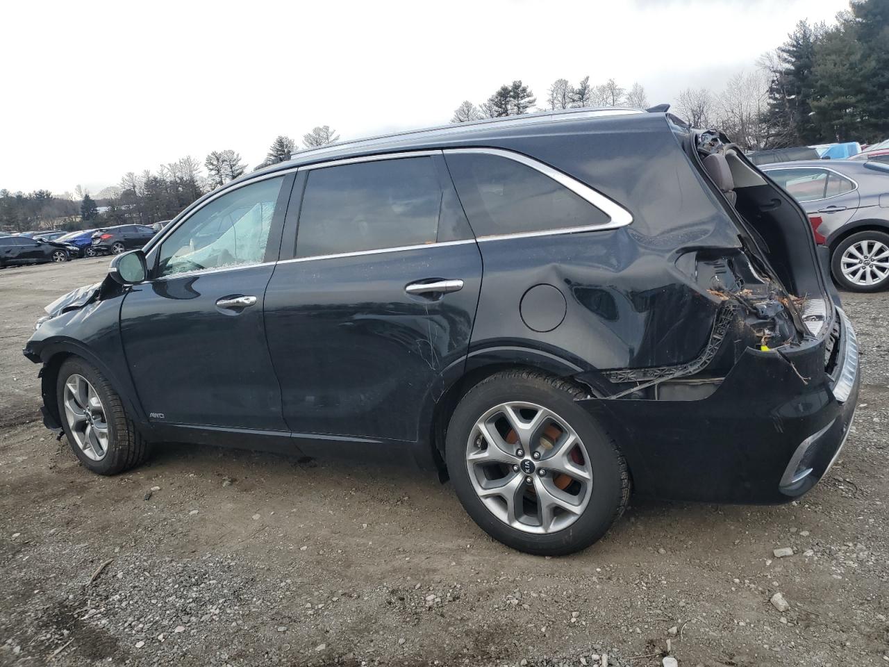 2019 KIA Sorento VIN 5XYPKDA52KG503925 Copart auction photo, water/flood / top/roof damage thumbnail 2
