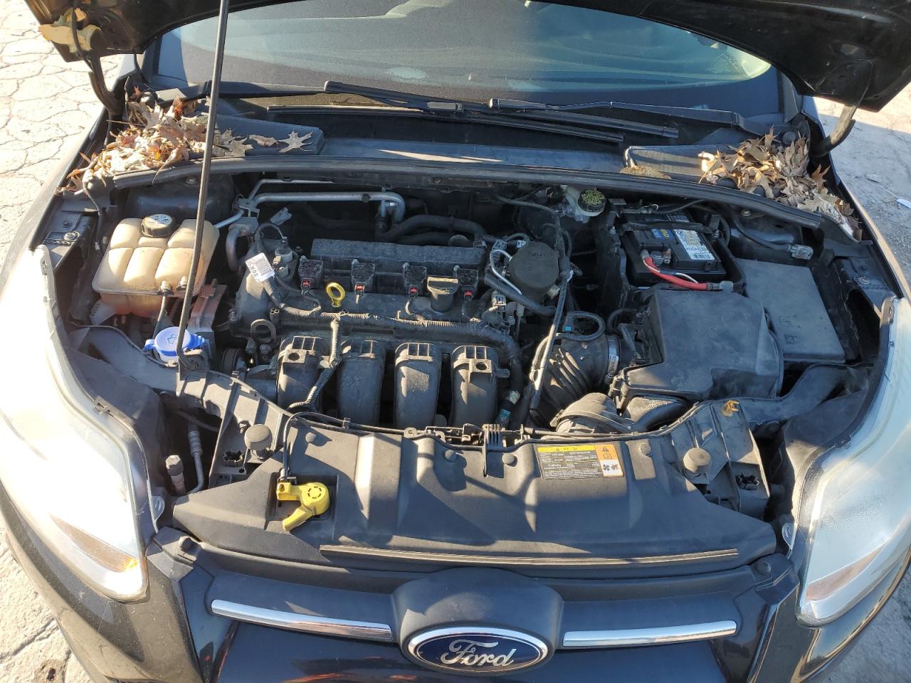 2013 Ford Focus VIN 1FADP3K25DL176534 Copart auction photo, side / minor dent/scratches damage thumbnail 11
