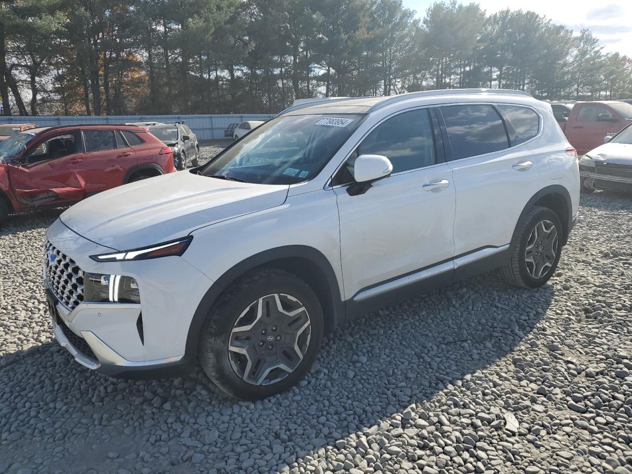 2023 Hyundai Santa Fe VIN 5NMS4DAL6PH655092