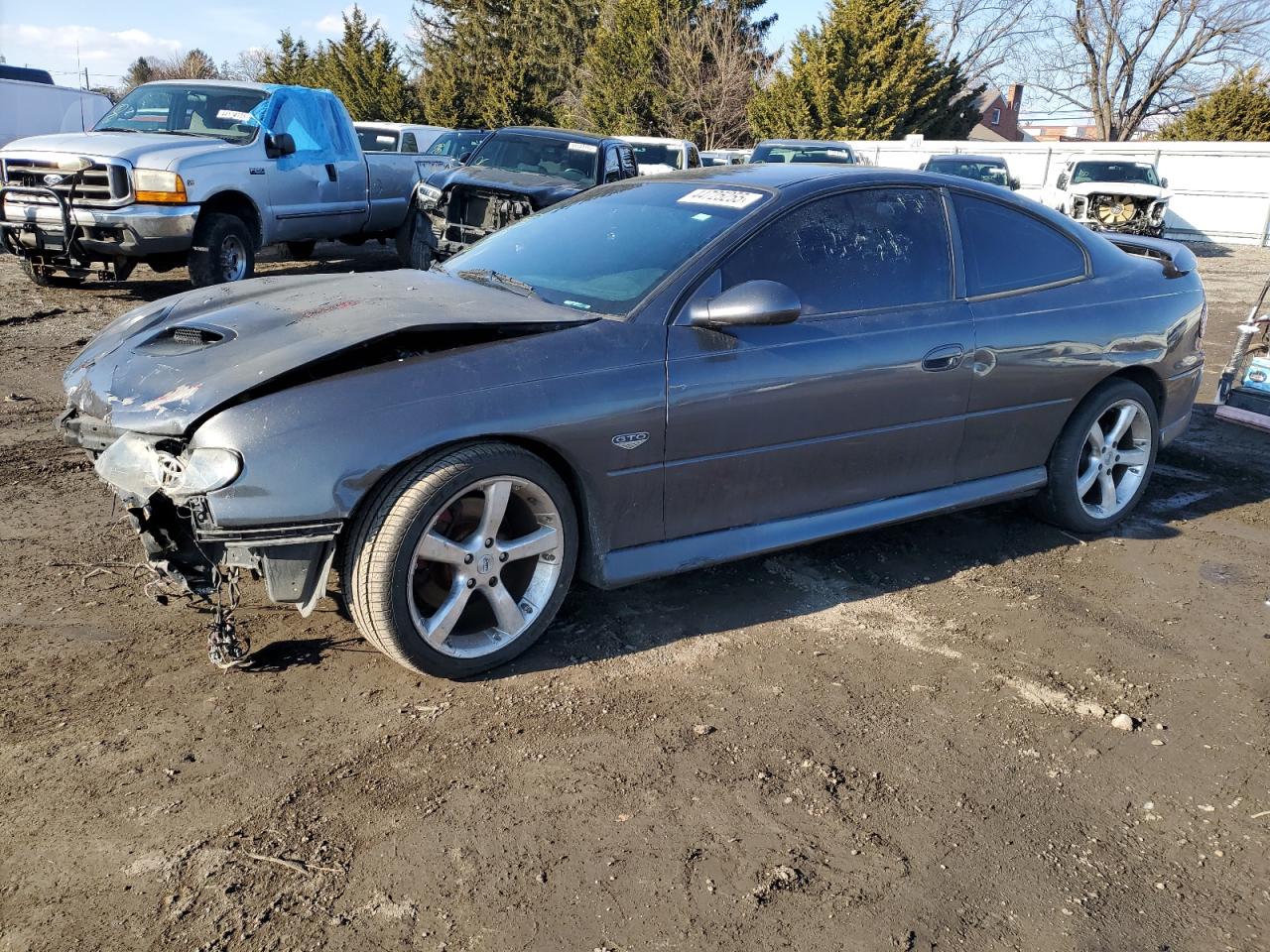 2006 Pontiac GTO VIN 6G2VX12UX6L566625 - Copart auction photo