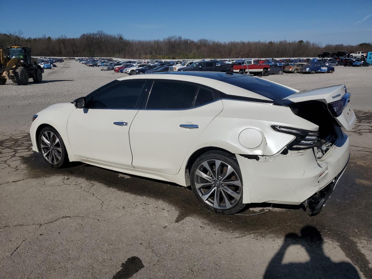 2019 Nissan Maxima VIN 1N4AA6AV5KC366963 Copart auction photo, rear end damage thumbnail 2