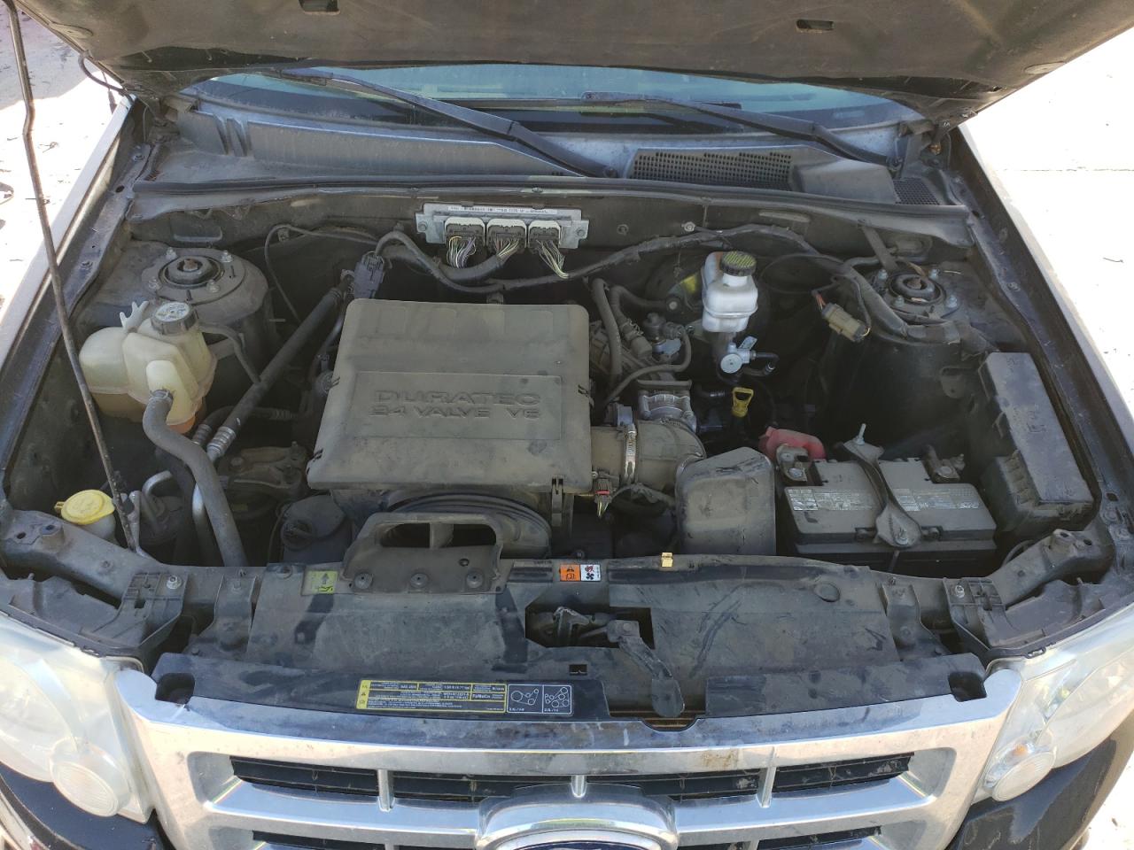 2010 Ford Escape VIN 1FMCU0EG8AKC03369 Copart auction photo, rear end / side damage thumbnail 12