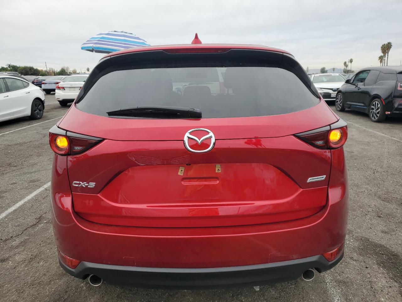 2019 Mazda CX-5 VIN JM3KFACM1K1576146 Copart auction photo, side damage thumbnail 6