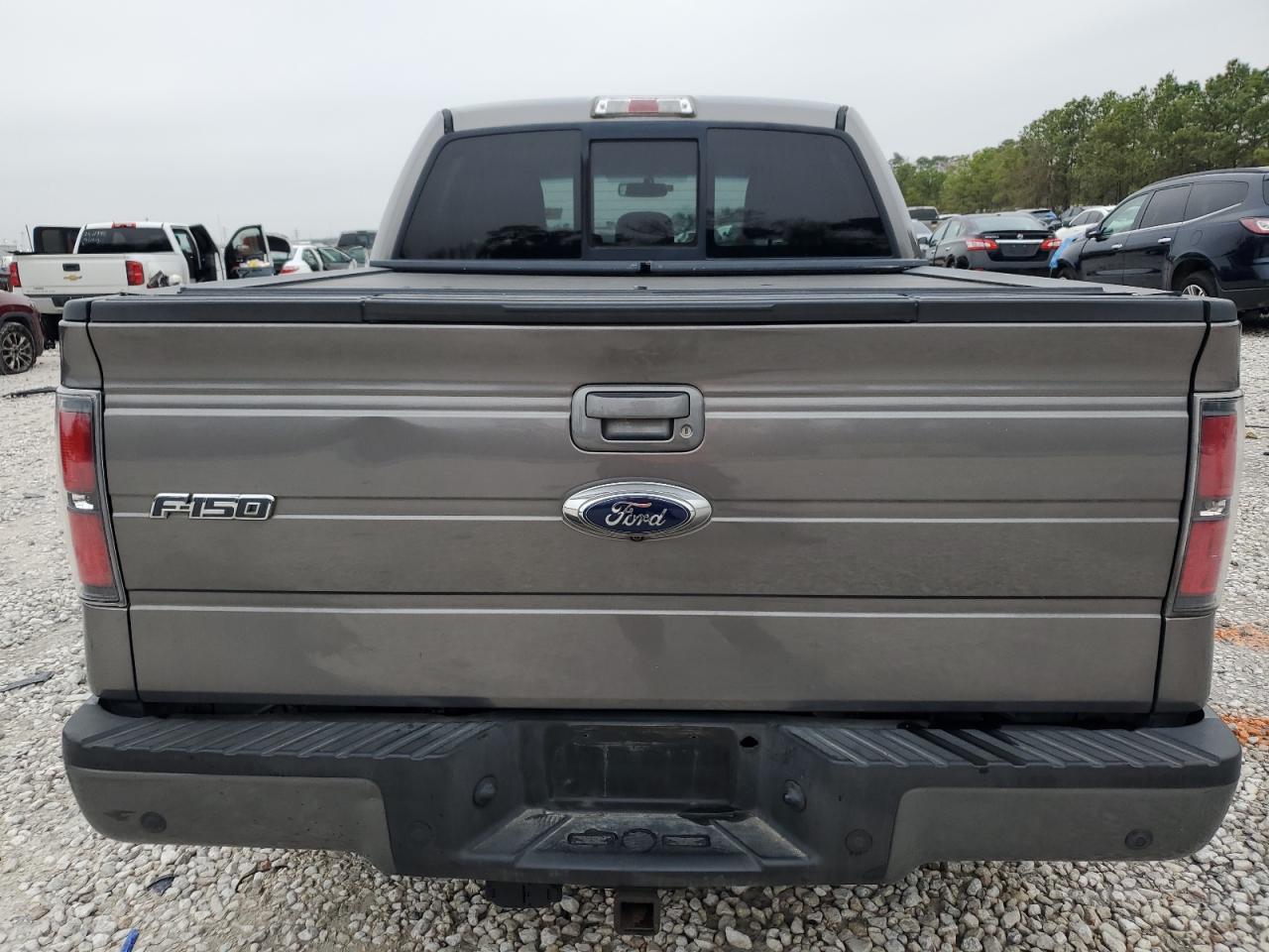 2013 Ford F-150 VIN 1FTFW1CT9DFD81208 Copart auction photo, side / minor dent/scratches damage thumbnail 6