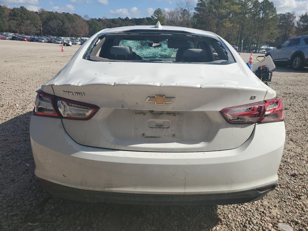 2019 Chevrolet Malibu VIN 1G1ZD5ST0KF141207 Copart auction photo, vandalism damage thumbnail 6