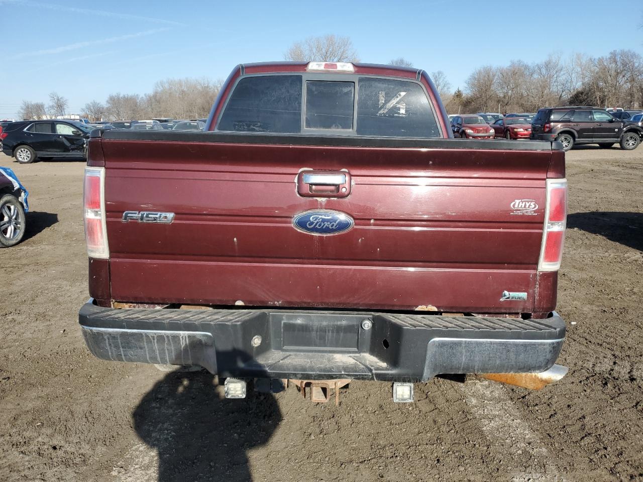 2010 Ford F-150 VIN 1FTFW1EV3AKE23874 Copart auction photo, front end damage thumbnail 6