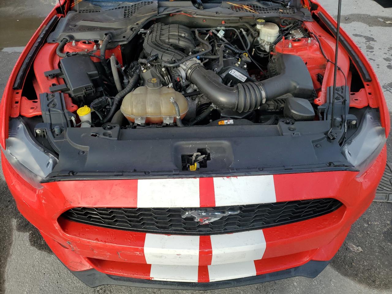 2017 Ford Mustang VIN 1FA6P8AM0H5339285 Copart auction photo, rear end / side damage thumbnail 11