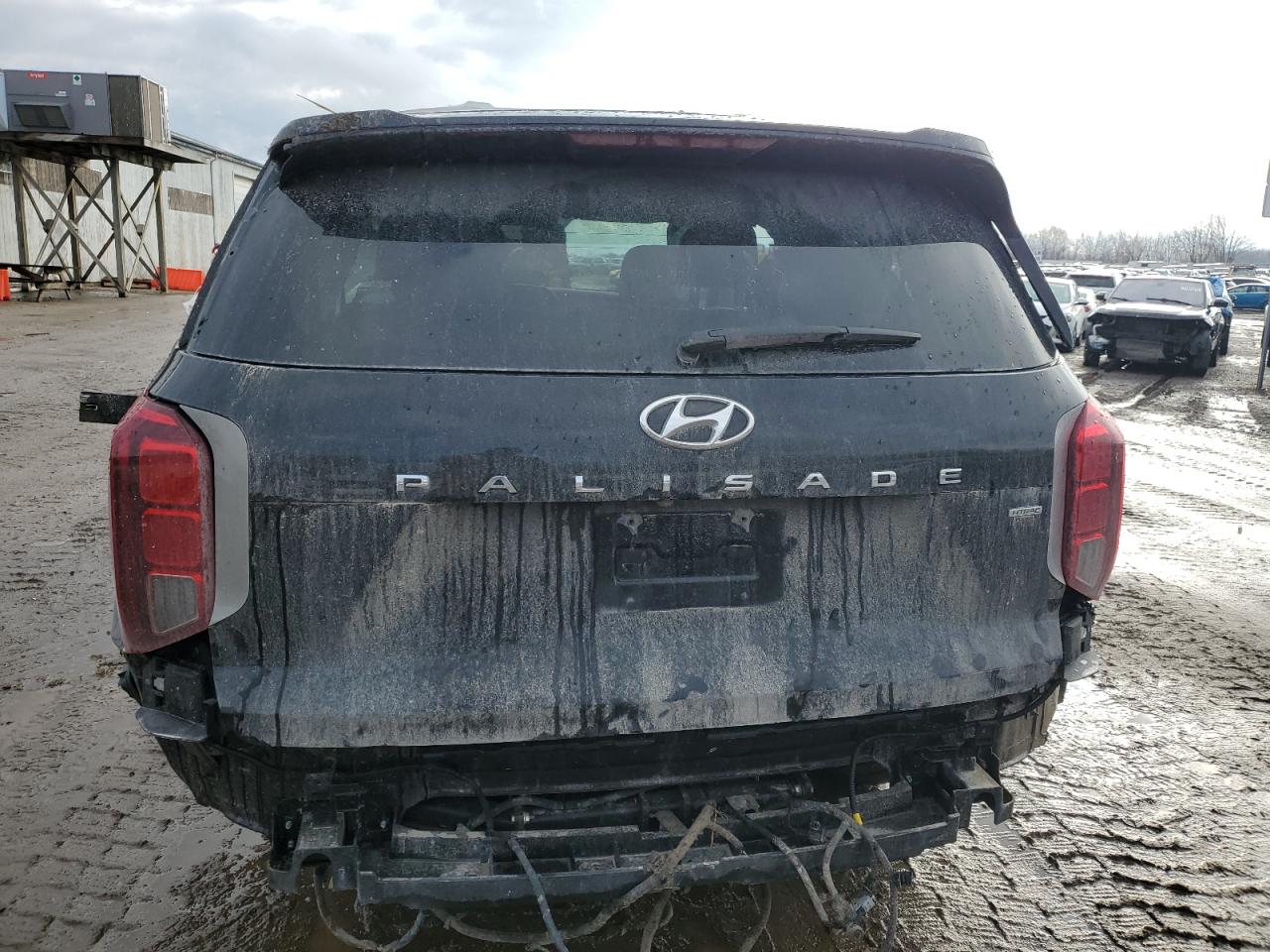 2020 Hyundai Palisade VIN KM8R4DHE5LU064790 Copart auction photo, rollover / minor dent/scratches damage thumbnail 6