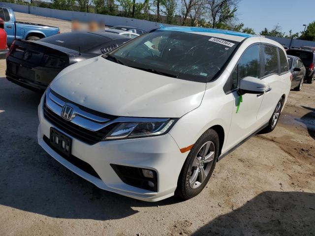 2019 Honda Odyssey VIN 5FNRL6H74KB031033