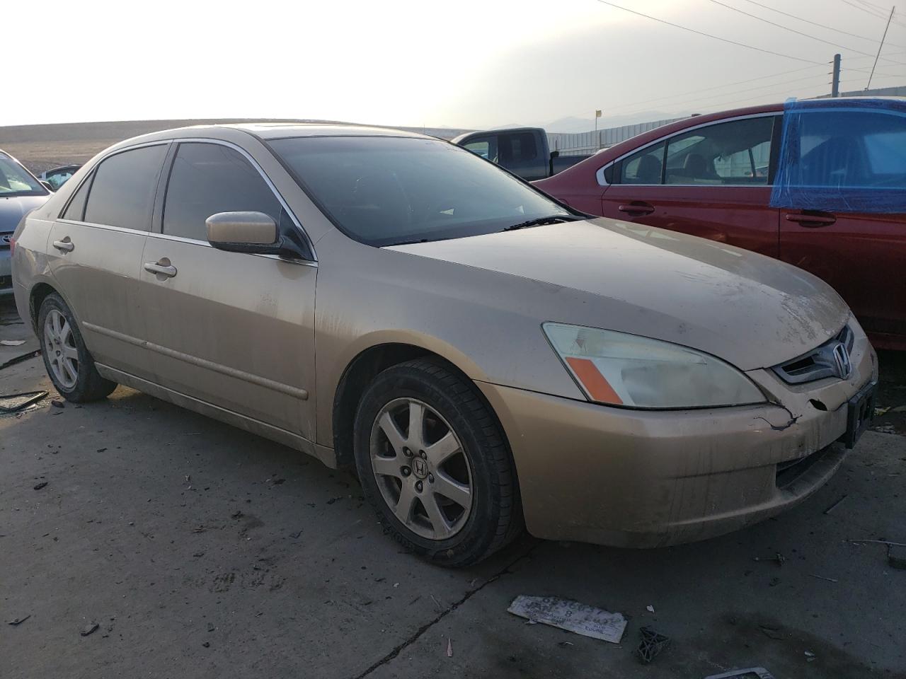 2005 Honda Accord VIN 1HGCM66555A056462 Copart auction photo, side / hail damage thumbnail 4