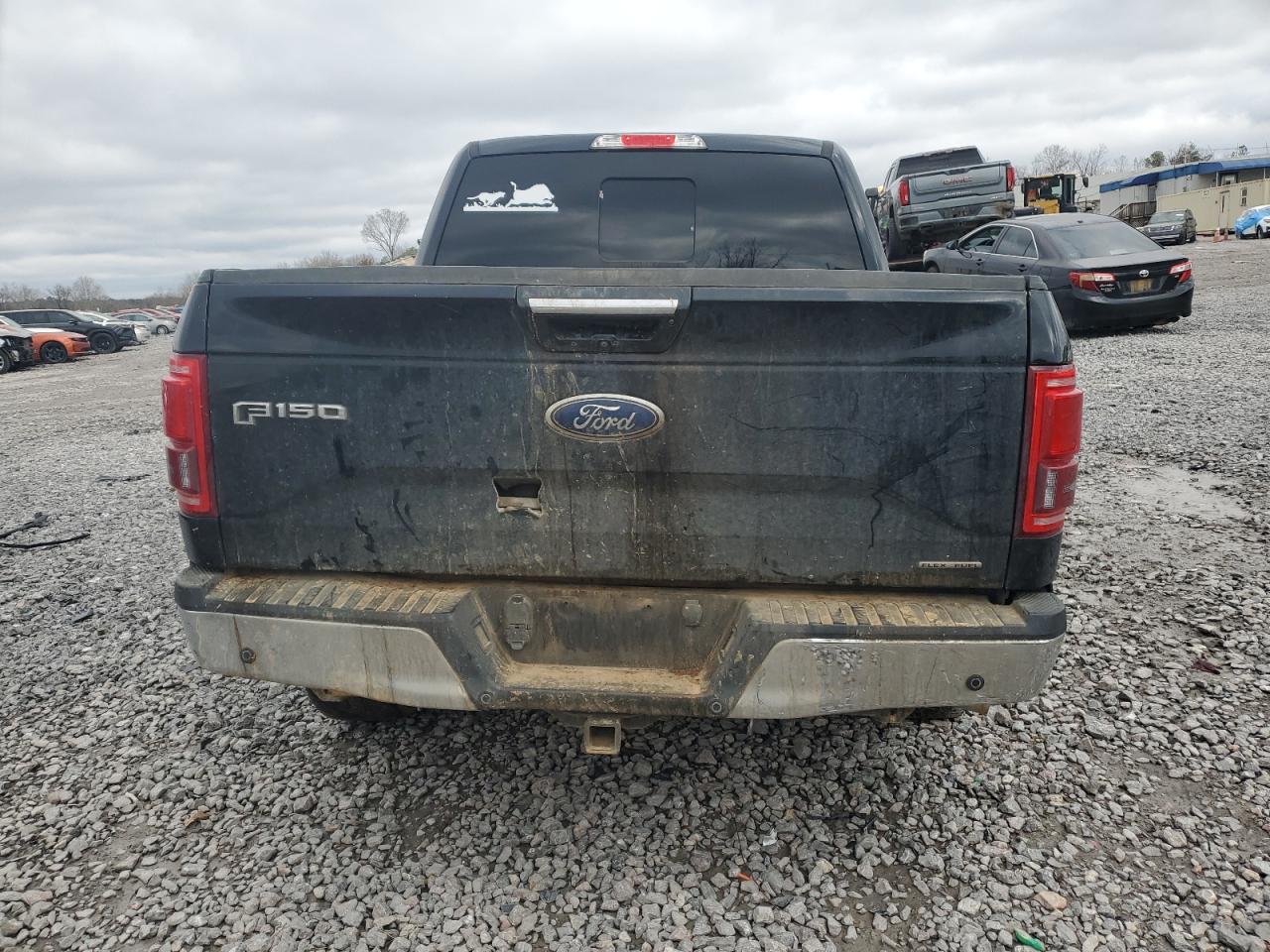 2016 Ford F-150 VIN 1FTEW1EF0GKE39608 Copart auction photo, front end / minor dent/scratches damage thumbnail 6