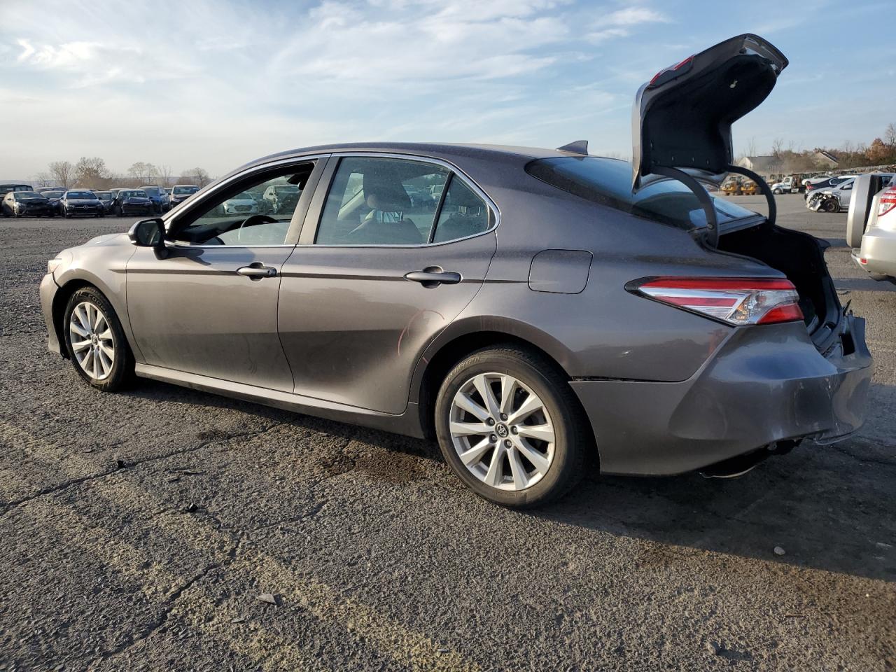 2019 Toyota Camry VIN 4T1B11HK6KU253994 Copart auction photo, rear end / side damage thumbnail 2