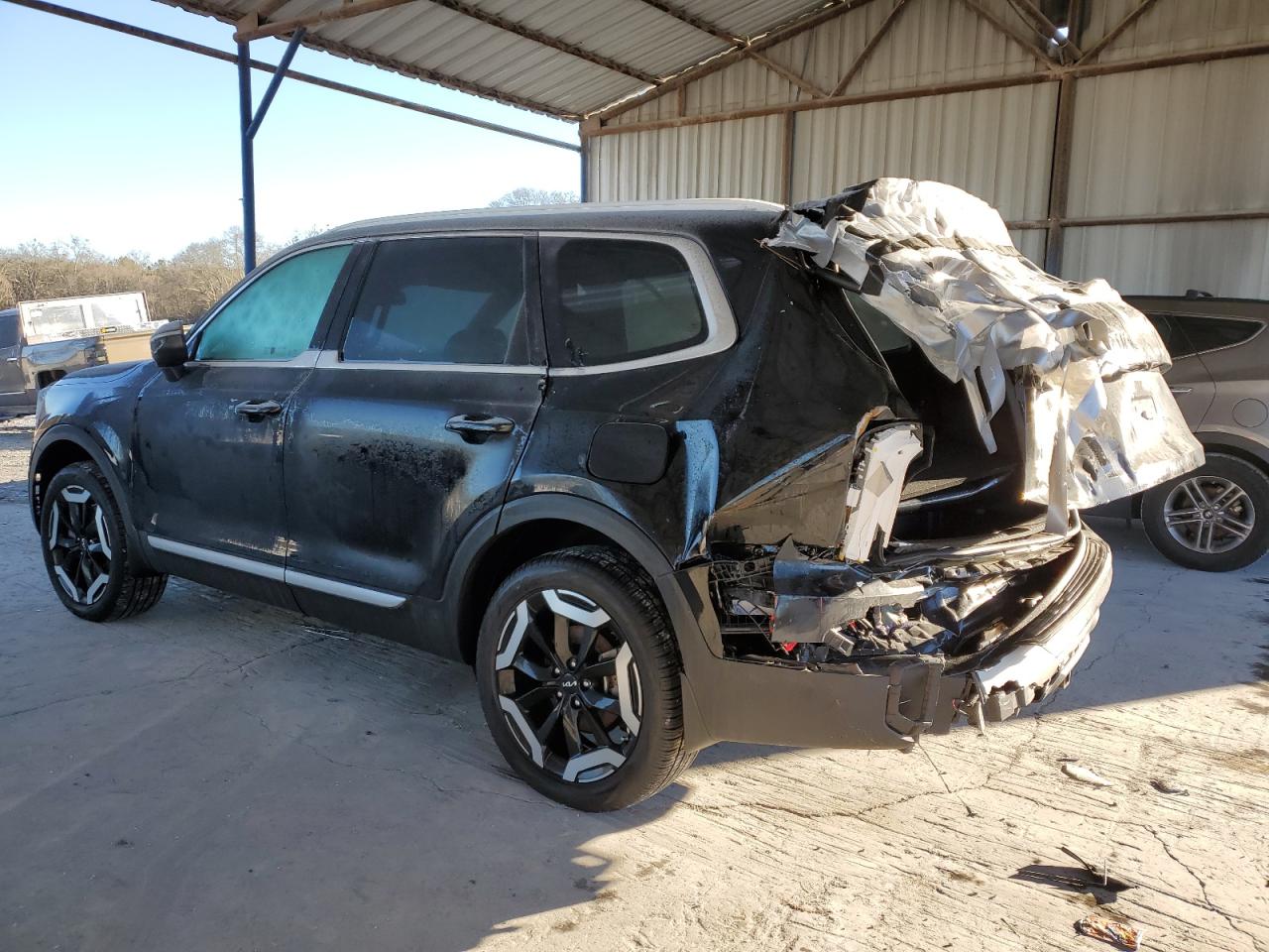 2024 KIA Telluride VIN 5XYP34GC4RG567204 Copart auction photo, rear end damage thumbnail 2