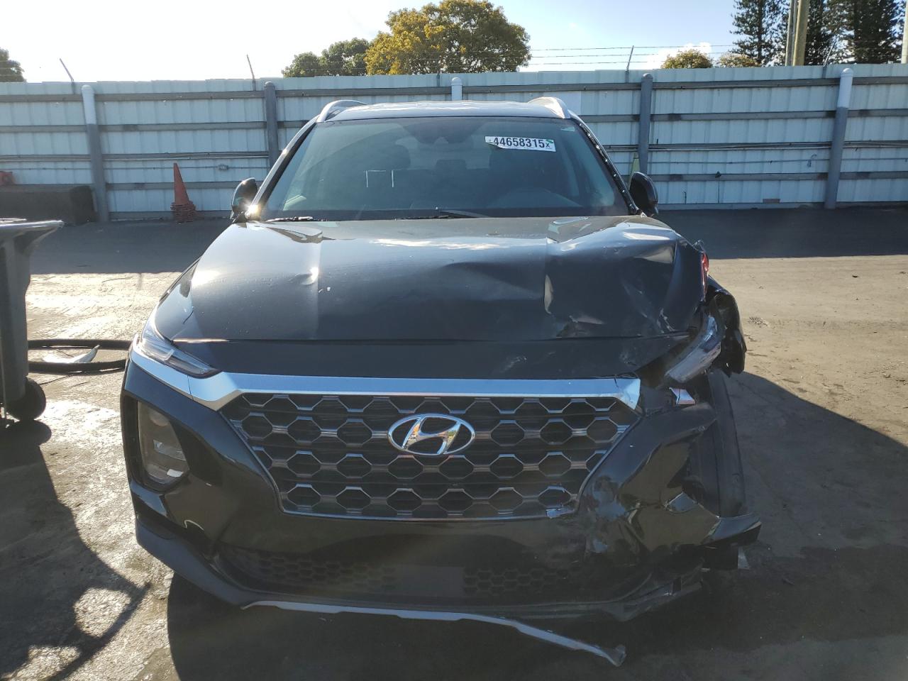 2020 Hyundai Santa Fe VIN 5NMS33AD4LH249067 Copart auction photo, front end damage thumbnail 5