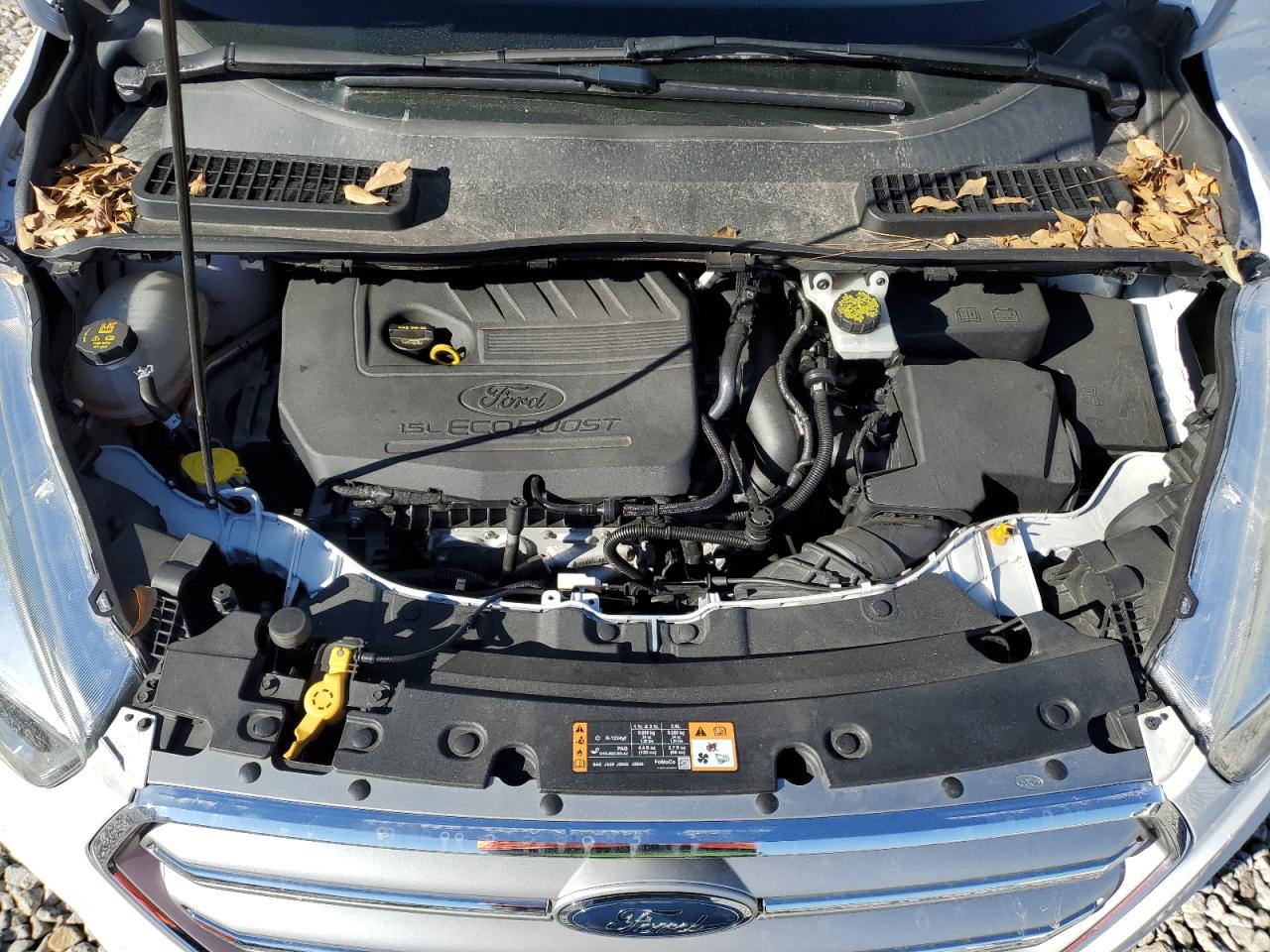 2017 Ford Escape VIN 1FMCU0GD4HUE02470 Copart auction photo, side / rear end damage thumbnail 13