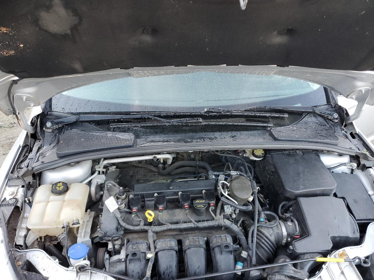 2014 Ford Focus VIN 1FADP3K21EL230333 Copart auction photo, front end damage thumbnail 11
