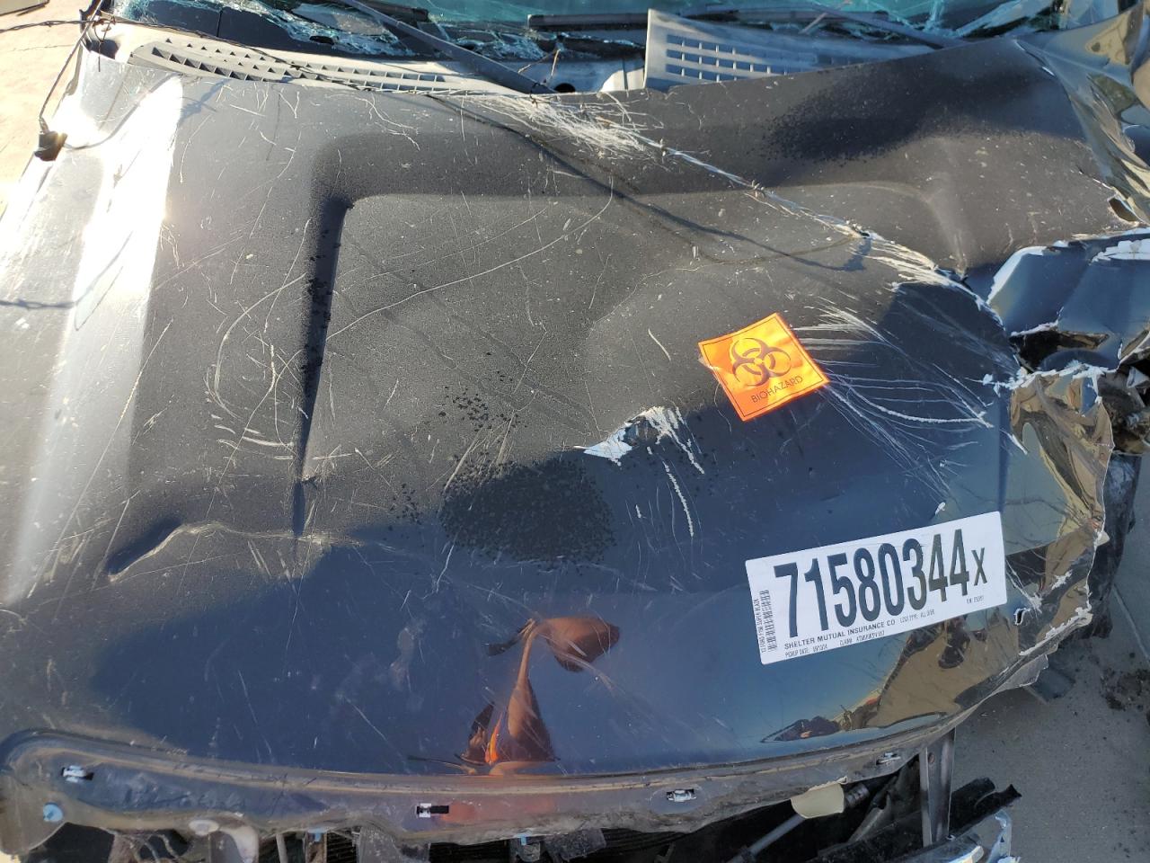2013 Ford F-150 VIN 1FTFW1EF3DKE92951 Copart auction photo, all over damage thumbnail 11