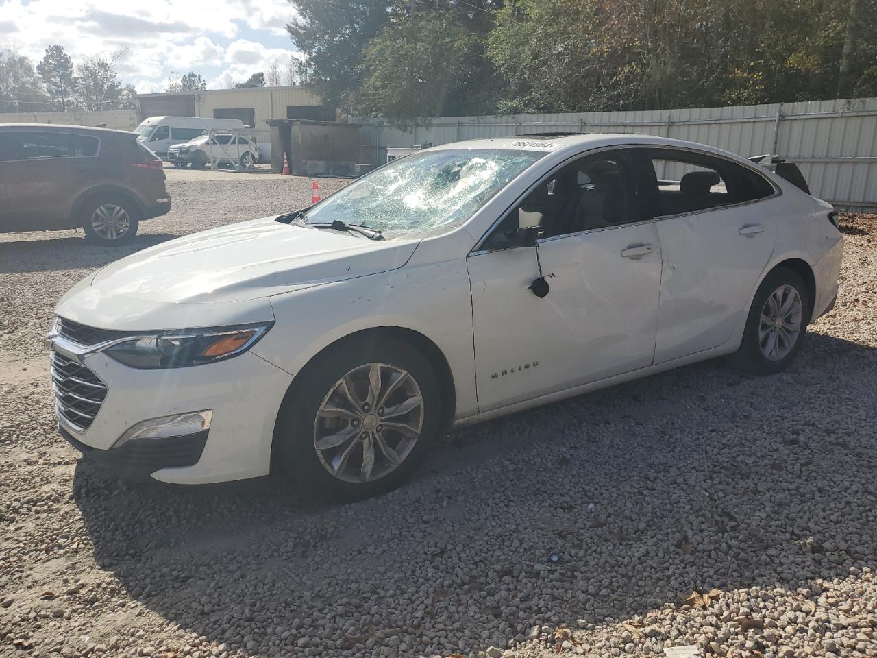 2019 Chevrolet Malibu VIN 1G1ZD5ST0KF141207