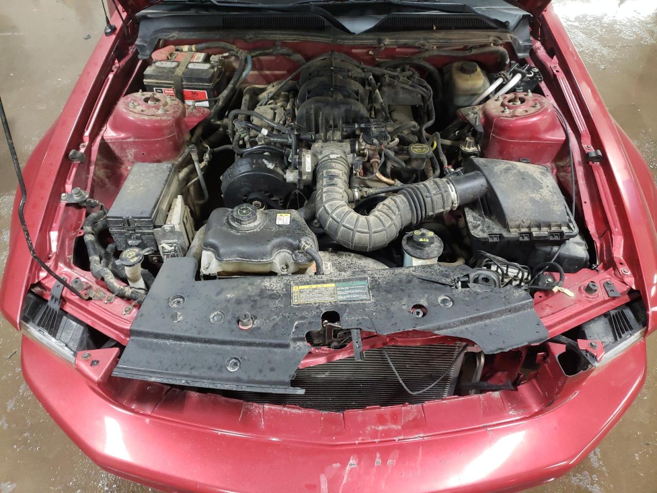 2005 Ford Mustang VIN 1ZVHT80N155230304 Copart auction photo, front end damage thumbnail 11