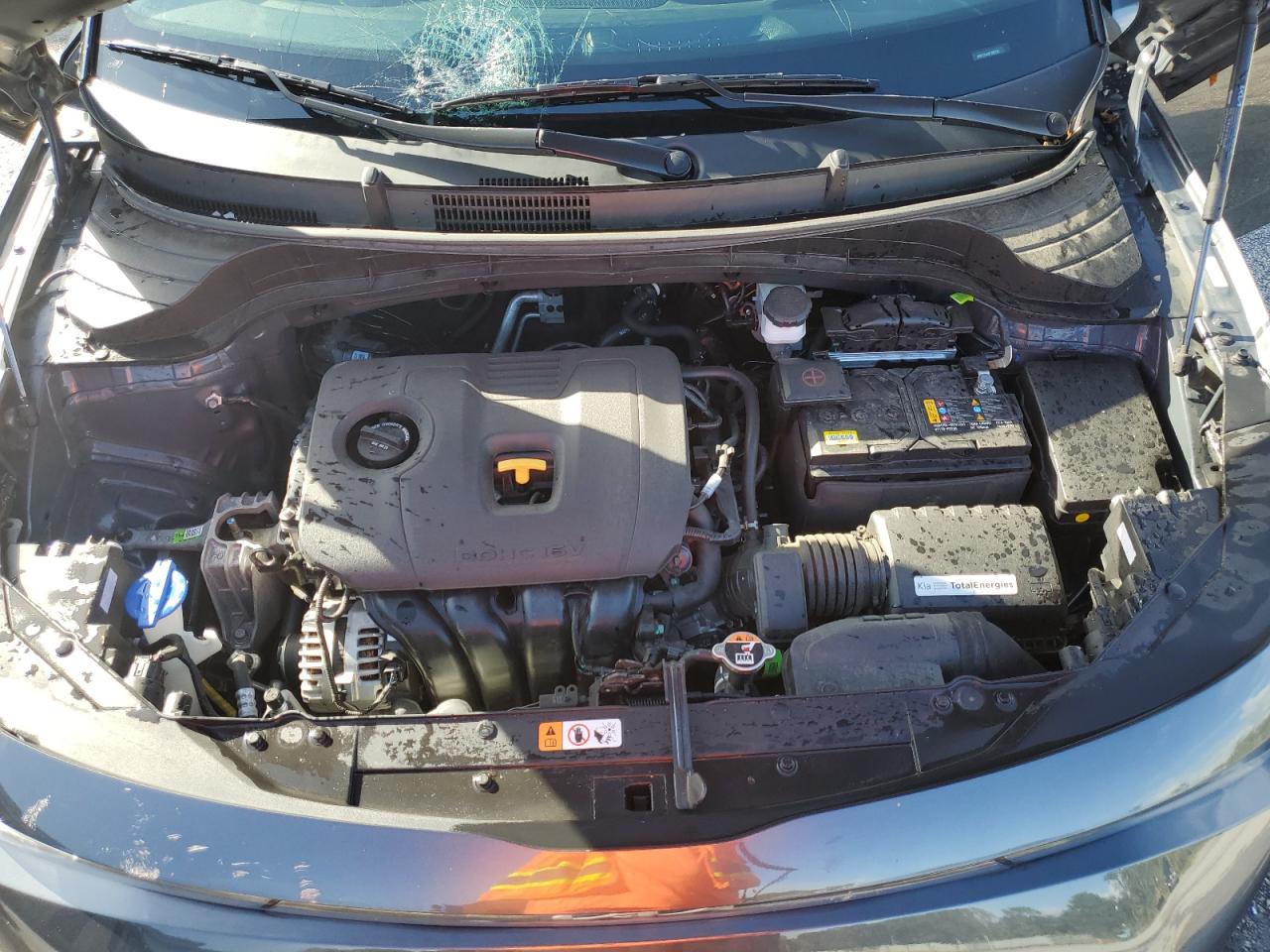 2023 KIA Soul VIN KNDJ23AU5P7883581 Copart auction photo, all over damage thumbnail 12