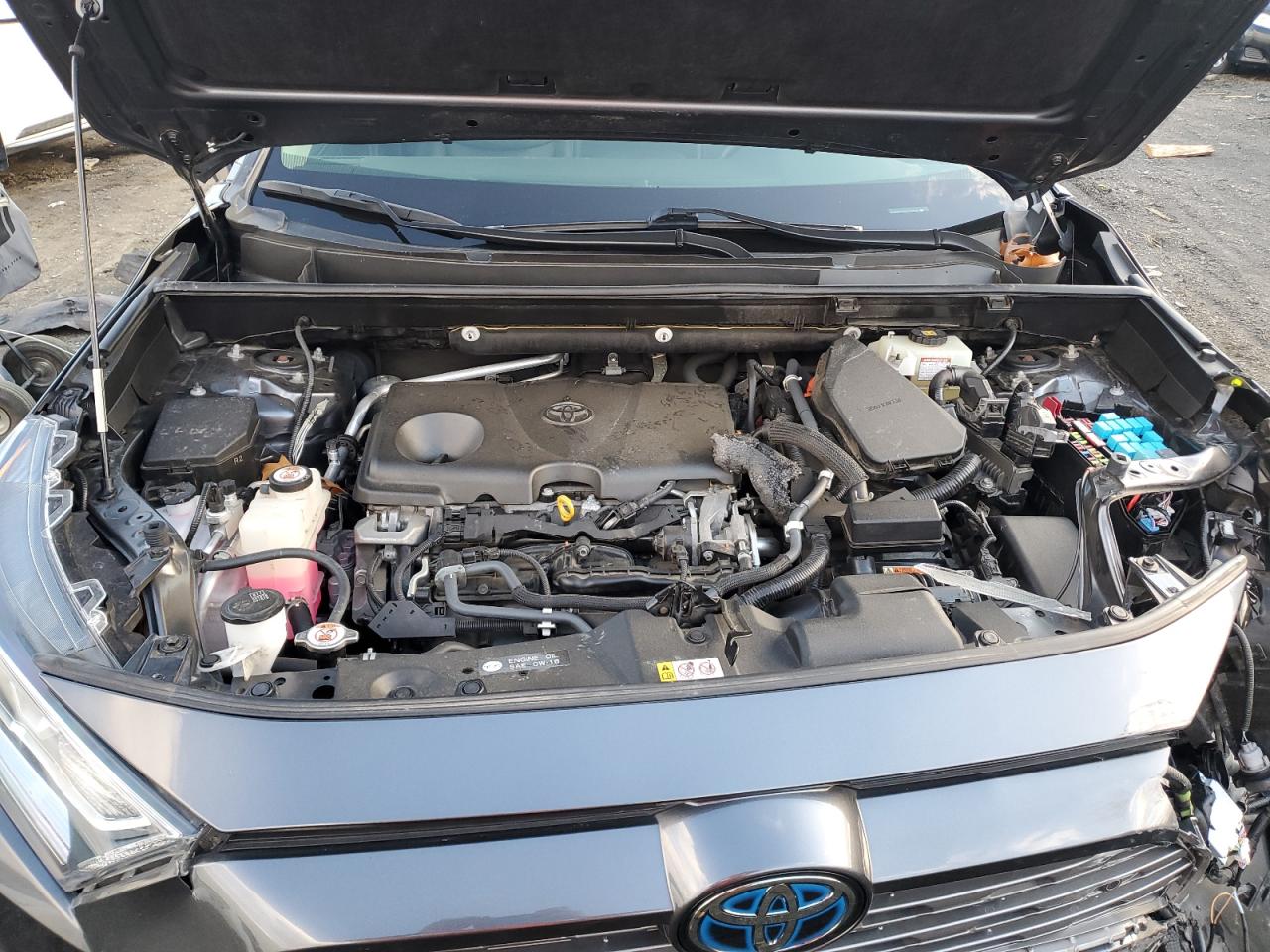 2019 Toyota RAV 4 VIN JTMDWRFV9KD028205 Copart auction photo, front end / side damage thumbnail 14
