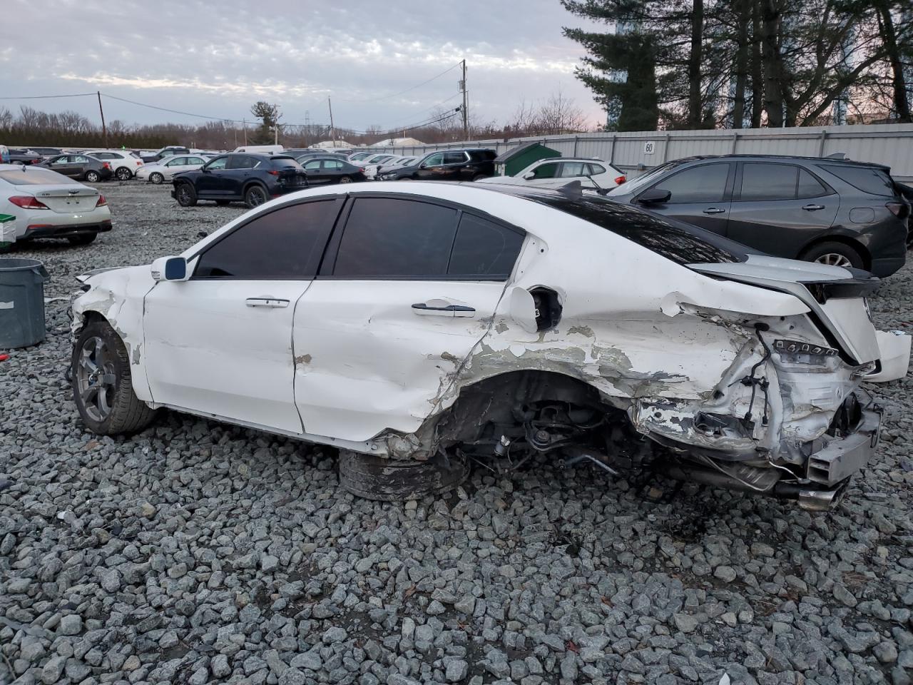 2010 Acura TL VIN 19UUA9F51AA009681 Copart auction photo, all over damage thumbnail 2