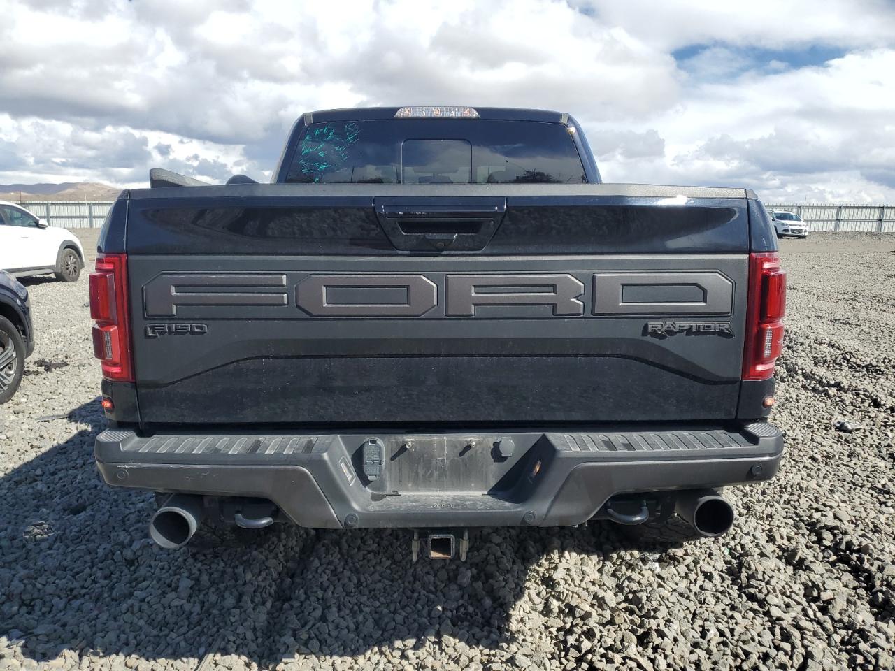 2019 Ford F-150 VIN 1FTFW1RG0KFD33992 Copart auction photo, side damage thumbnail 6