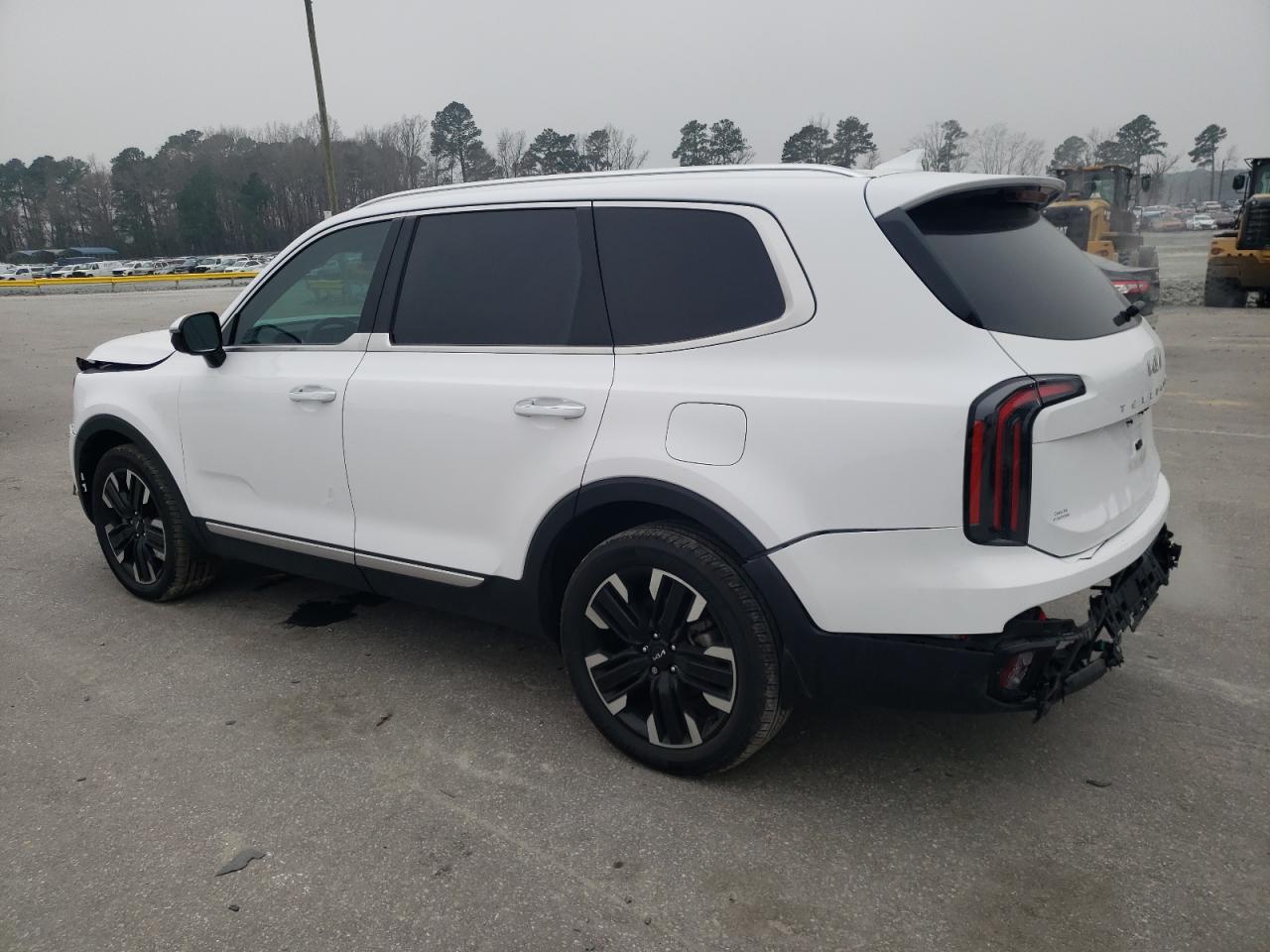 2024 KIA Telluride VIN 5XYP5DGC4RG544175 Copart auction photo, front end / rear end damage thumbnail 2