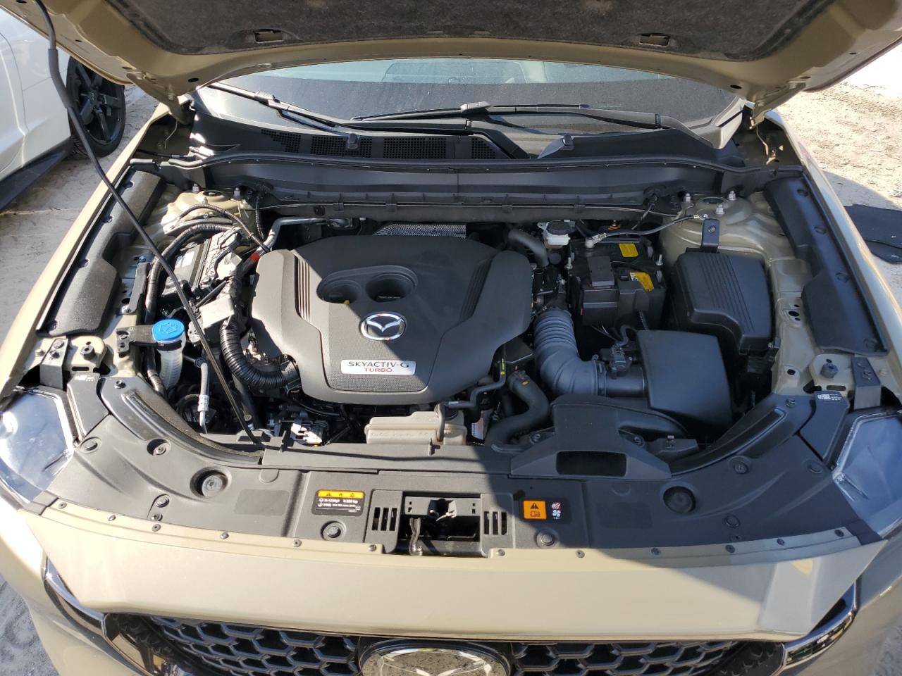 2024 Mazda CX-5 VIN JM3KFBAY5R0532839 Copart auction photo, rear end / minor dent/scratches damage thumbnail 12