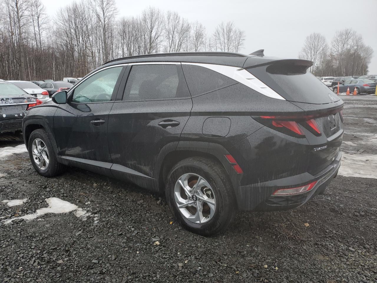2024 Hyundai Tucson VIN 5NMJBCDE2RH353780 Copart auction photo, side / minor dent/scratches damage thumbnail 2